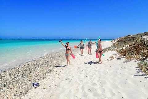 Ningaloo In A Day - Full Day Hike And Snorkel Tour With Lunch - Accommodation Coffs Harbour 1