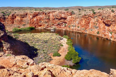 Ningaloo In A Day - Full Day Hike And Snorkel Tour With Lunch - Accommodation Coffs Harbour 2
