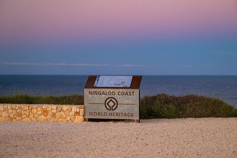 Ningaloo In A Day - Full Day Hike And Snorkel Tour With Lunch - Accommodation Coffs Harbour 5