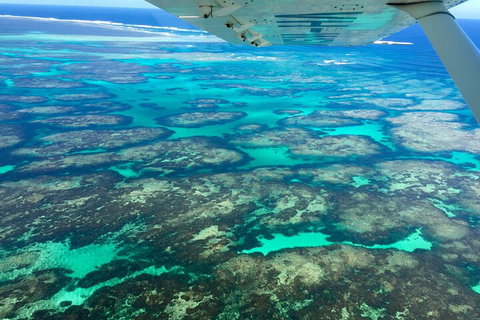Shipwreck Special Full Day Tour Of The Abrolhos Islands - Accommodation Coffs Harbour 1