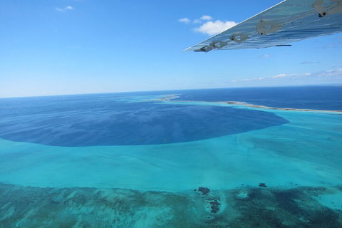 Shipwreck Special Full Day Tour Of The Abrolhos Islands - Accommodation Coffs Harbour 2
