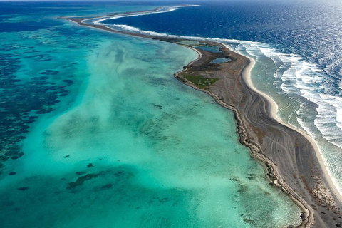 Shipwreck Special Full Day Tour Of The Abrolhos Islands - Accommodation Coffs Harbour 3