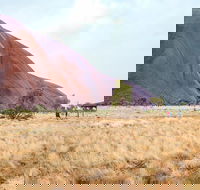 Uluru Sunrise and Guided Base Walk - Accommodation Coffs Harbour