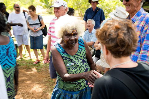 Tiwi Islands Cultural Experience From Darwin Including Ferry - Accommodation Coffs Harbour 0
