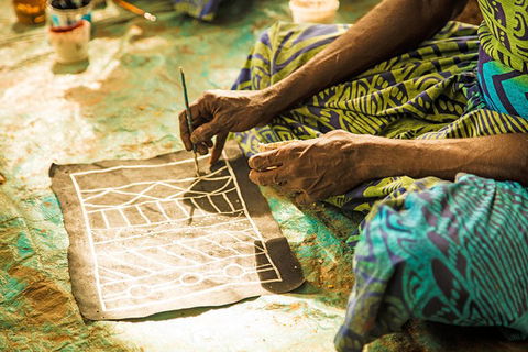 Tiwi Islands Cultural Experience From Darwin Including Ferry - Accommodation Coffs Harbour 1