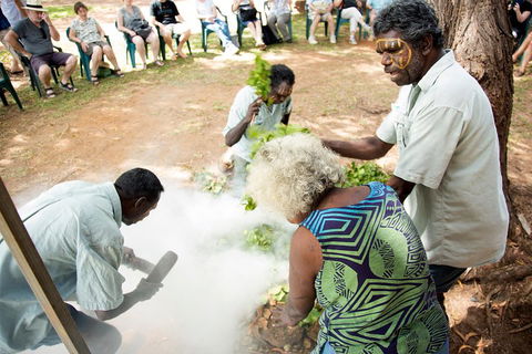 Tiwi Islands Cultural Experience From Darwin Including Ferry - Accommodation Coffs Harbour 4