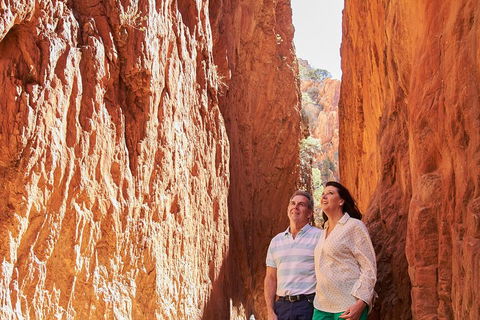 Best Of Alice Springs Full Day Tour - Accommodation Coffs Harbour 4