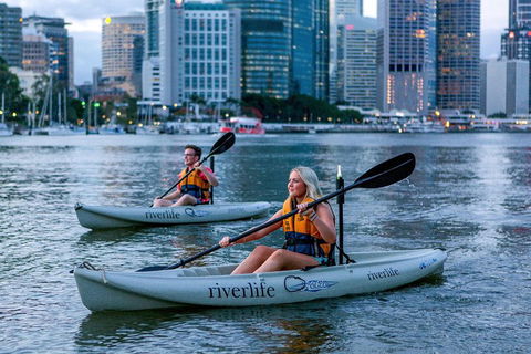 Brisbane Kayak Tour - Accommodation Coffs Harbour 3