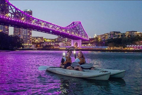 Brisbane Kayak Tour - Accommodation Coffs Harbour 4