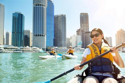 Brisbane Kayak Tour - Accommodation Coffs Harbour 5
