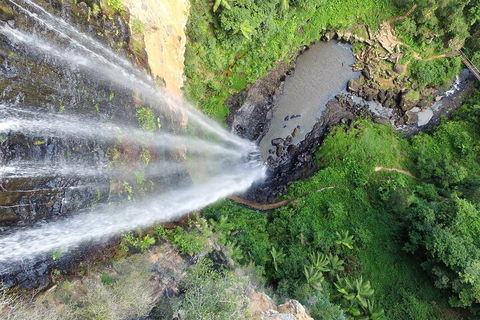 Natural Bridge & Springbrook Waterfalls Tour + Hot Air Balloon With Breakfast - Accommodation Coffs Harbour 1