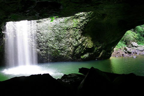 Natural Bridge & Springbrook Waterfalls Tour + Hot Air Balloon With Breakfast - Accommodation Coffs Harbour 2