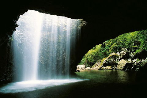 Natural Bridge & Springbrook Waterfalls Tour - Accommodation Coffs Harbour 0