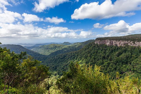 Natural Bridge & Springbrook Waterfalls Tour - Accommodation Coffs Harbour 1