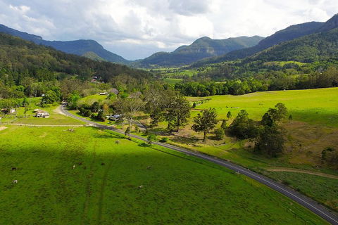 Natural Bridge & Springbrook Waterfalls Tour - Accommodation Coffs Harbour 2