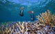 Silversonic Outer Great Barrier Reef Dive And Snorkel Cruise From Port Douglas - thumb 4