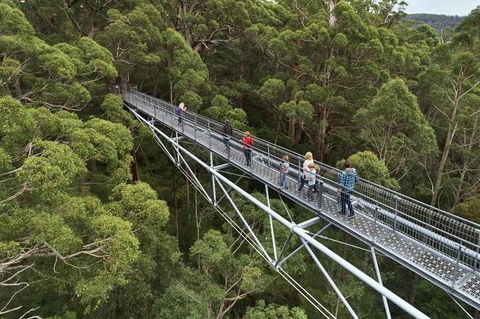 6 Days Perth All-Inclusive Touring Package With Wildflowers ( Seasonal) - Accommodation Coffs Harbour 3