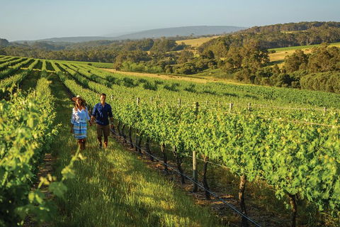 6 Days Perth All-Inclusive Touring Package With Wildflowers ( Seasonal) - Accommodation Coffs Harbour 4