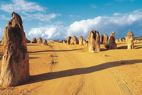 6 Days Perth All-Inclusive Touring Package With Wildflowers ( Seasonal) - Accommodation Coffs Harbour 5