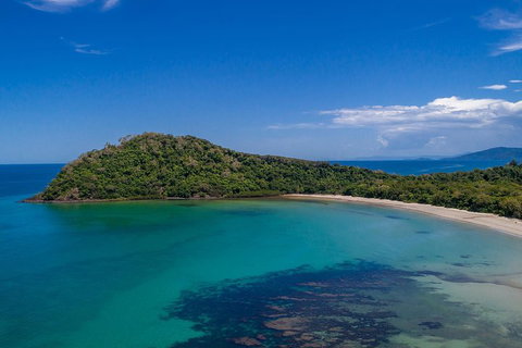 Daintree And Cape Tribulation Tour From Cairns - Accommodation Coffs Harbour 4