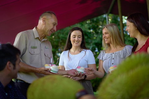 Daintree And Cape Tribulation Tour From Cairns - Accommodation Coffs Harbour 5