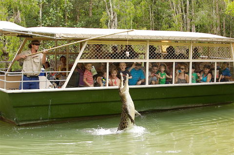 Hartley's Crocodile Adventure Half-Day Tour - Accommodation Coffs Harbour 0