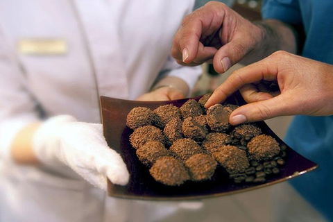 Explore Adelaide City Tour: Haigh's Tasting Chocolate & Adelaide Oval Tour - Accommodation Coffs Harbour 2