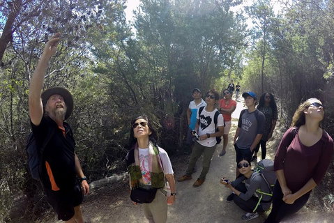 Active Day Tour One-Way From Launceston To Hobart Via Wineglass Bay - Accommodation Coffs Harbour 0