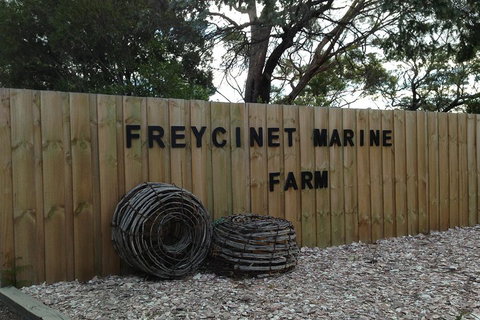 Active Day Tour One-Way From Launceston To Hobart Via Wineglass Bay - Accommodation Coffs Harbour 3