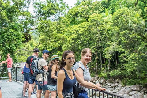 Cape Tribulation, Mossman Gorge, And Daintree Rainforest Day Trip From Cairns Or Port Douglas - Accommodation Coffs Harbour 0