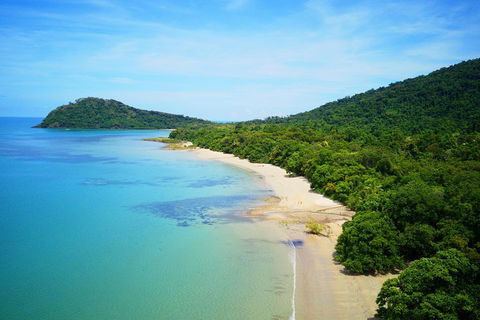 Cape Tribulation, Mossman Gorge, And Daintree Rainforest Day Trip From Cairns Or Port Douglas - Accommodation Coffs Harbour 5