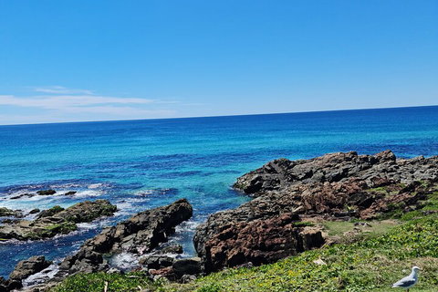Private Custom Byron Bay Day Out - Accommodation Coffs Harbour 4