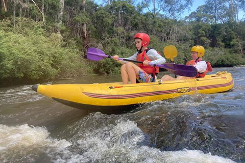 Yarra River Half-Day Rafting Experience - Accommodation Coffs Harbour 1