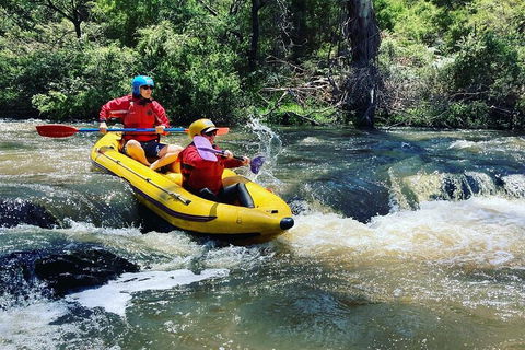 Yarra River Half-Day Rafting Experience - Accommodation Coffs Harbour 4
