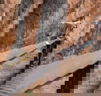 Chillagoe Caves and Outback Day Trip from Cairns - Accommodation Coffs Harbour