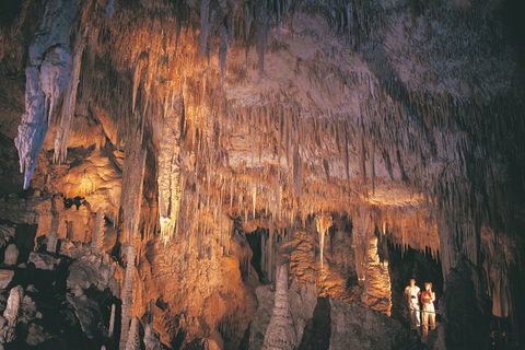4 Day Tour: Albany, Margaret River, Valley Of The Giants TreeTop Walk From Perth - Accommodation Coffs Harbour 1