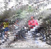 2 Hour Bike Tour in Kangaroo Island