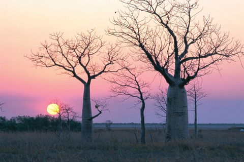 8-Day Outback Experience From Queensland - Accommodation Coffs Harbour 5