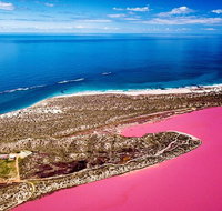 Pink Lake Small-Group Buggy Tour - Accommodation Coffs Harbour