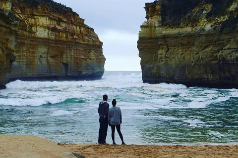 Great Ocean Road Small-Group Ecotour From Melbourne - Accommodation Coffs Harbour 1