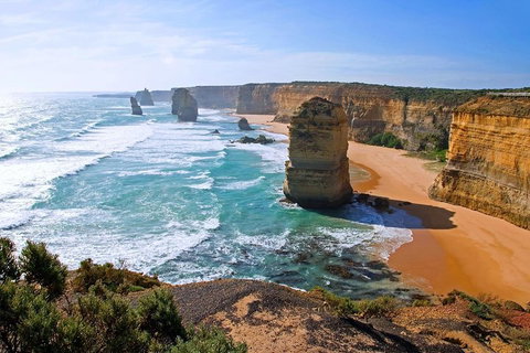 Great Ocean Road Small-Group Ecotour From Melbourne - Accommodation Coffs Harbour 2