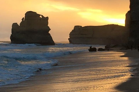 Great Ocean Road Small-Group Ecotour From Melbourne - Accommodation Coffs Harbour 5