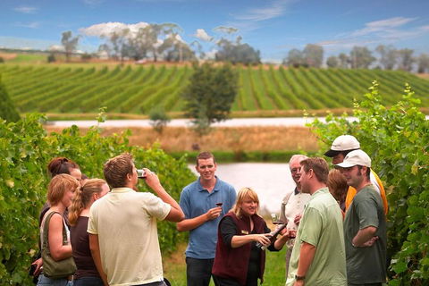 Yarra Valley Wine And Winery Tour From Melbourne - Accommodation Coffs Harbour 0
