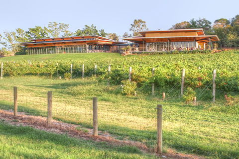 Yarra Valley Wine And Winery Tour From Melbourne - Accommodation Coffs Harbour 1