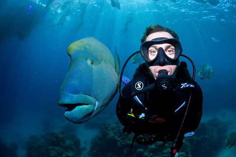 Full Day Reef Cruise Including 10 Minute Heli Scenic Flight: Get High Package - Accommodation Coffs Harbour 1