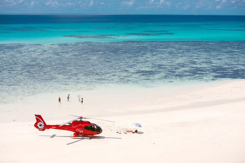 Private Helicopter Tour: Reef Island Snorkeling And Gourmet Picnic Lunch - Accommodation Coffs Harbour 2