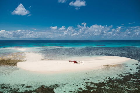 Private Helicopter Tour: Reef Island Snorkeling And Gourmet Picnic Lunch - Accommodation Coffs Harbour 4