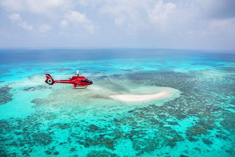 Private Helicopter Tour: Reef Island Snorkeling And Gourmet Picnic Lunch - Accommodation Coffs Harbour 5