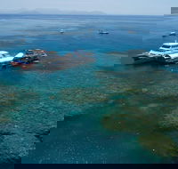 Cruise to Moore Reef Pontoon and Return Helicopter Flight from Cairns