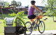 Experience E-bike At Byron Bay - thumb 4